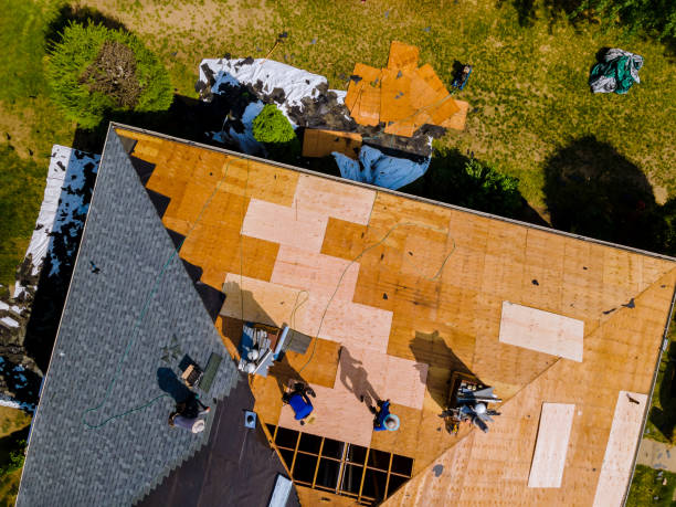 Best Roof Gutter Cleaning  in Moreland, ID